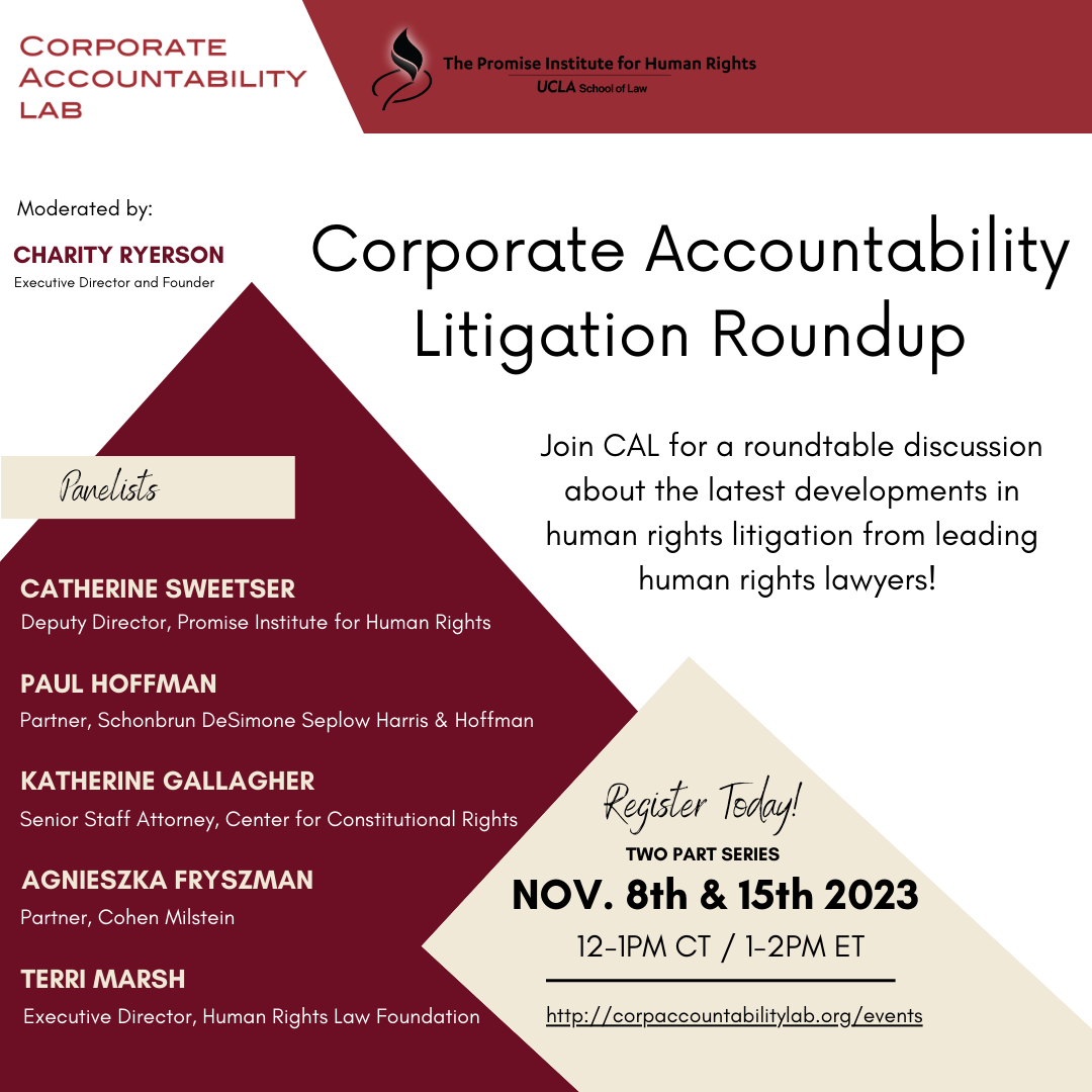 2023 Corporate Accountability Litigation Roundup