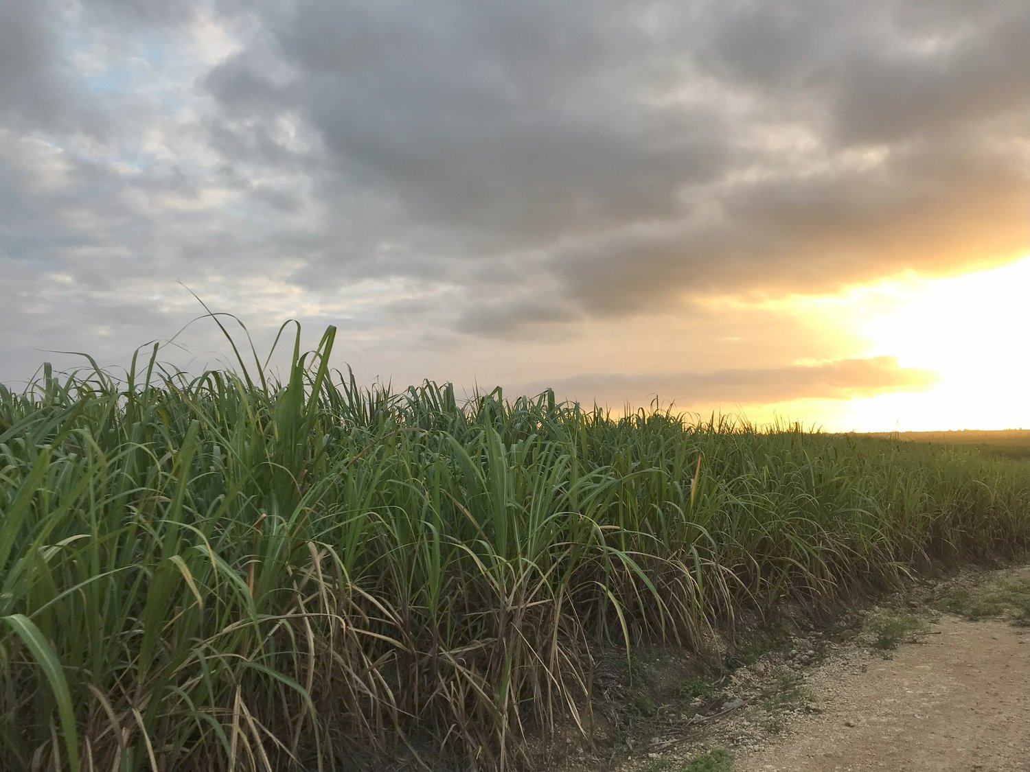 De la violencia a la falta de vivienda: el viaje de los migrantes  colombianos a Silicon Valley - San José Spotlight, image size:1500x1125