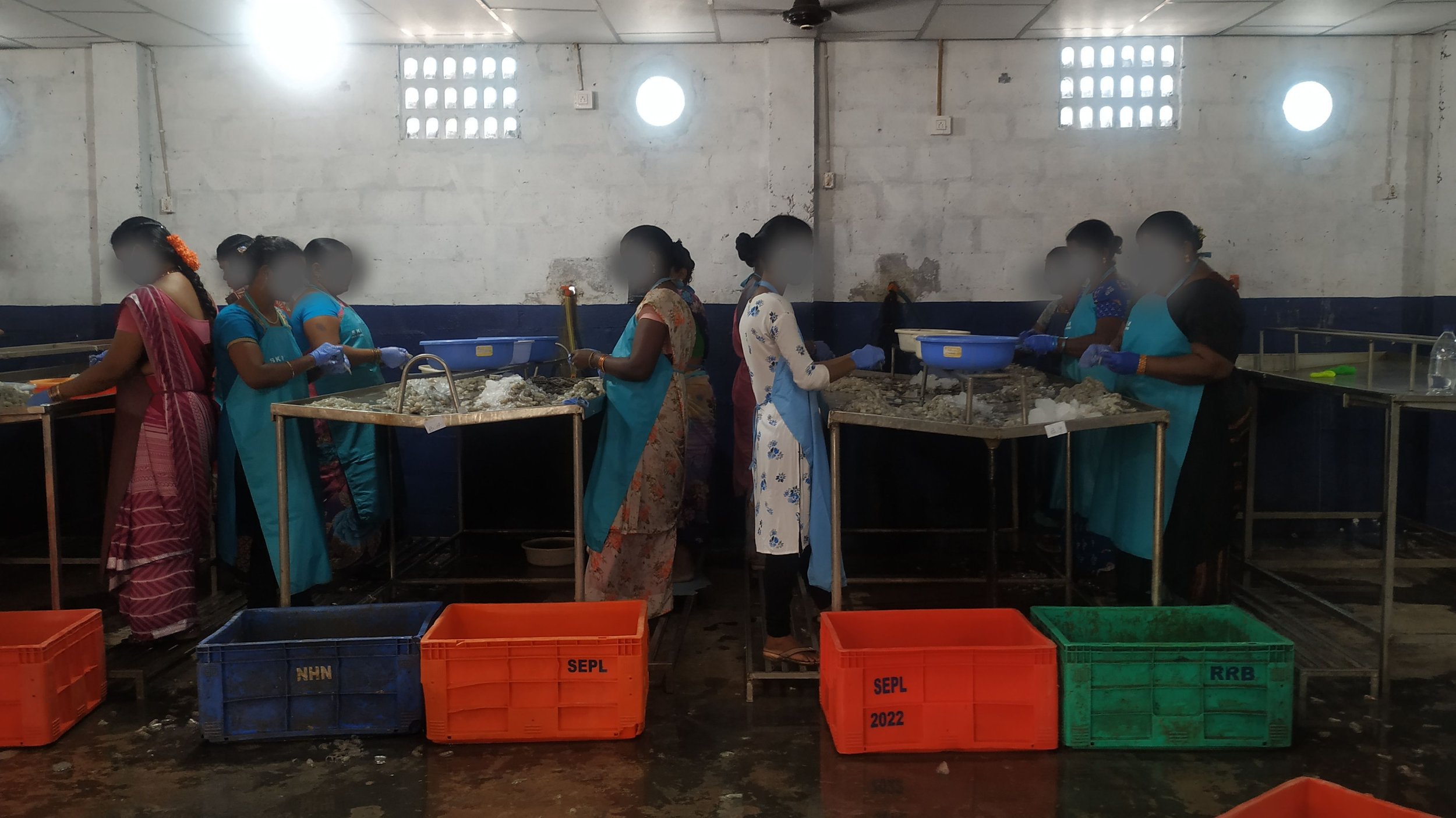 IV.E. Women working in a peeling shed (Andhra Pradesh, 2022).jpg