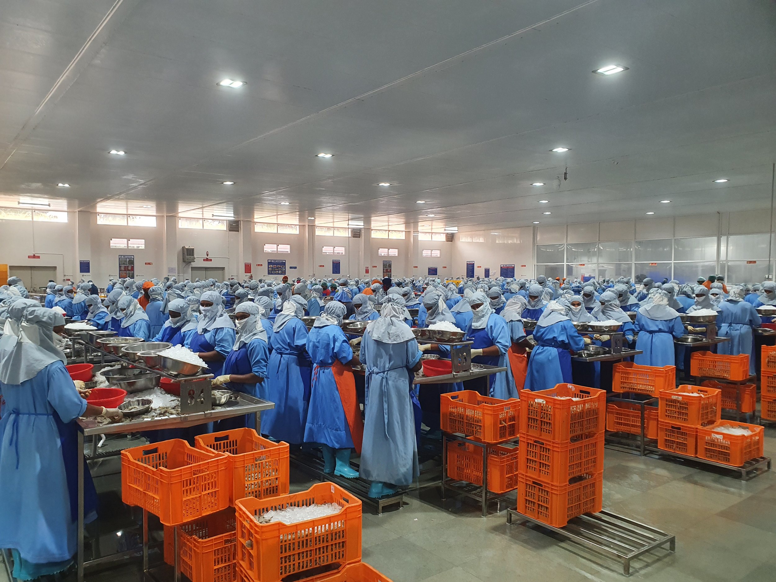 III.B.5. Workers in a large processing plant in Andhra Pradesh (2022).jpg