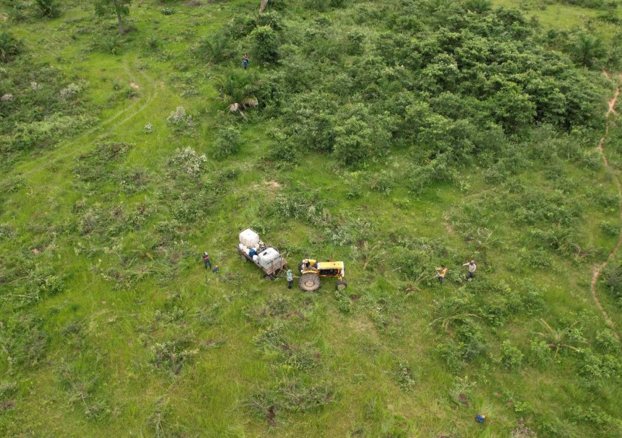 Aerial image of field .png
