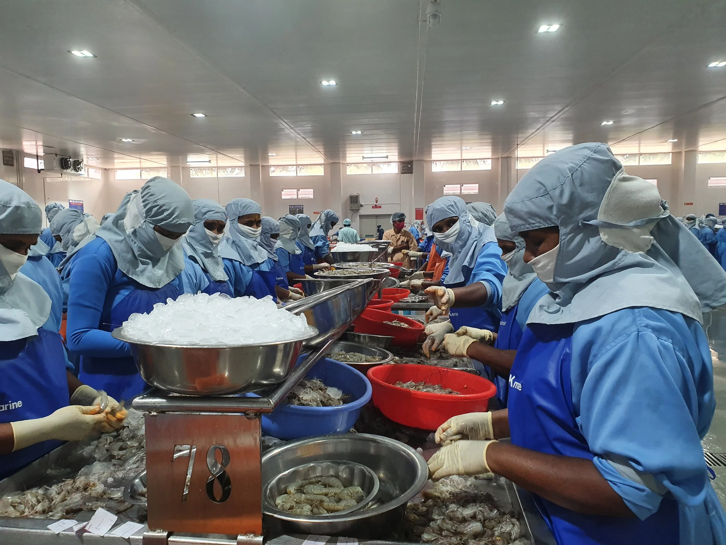 Corporate Accountability Lab Sues Aqua Star for False Advertising of its “Responsibly Sourced” Shrimp 