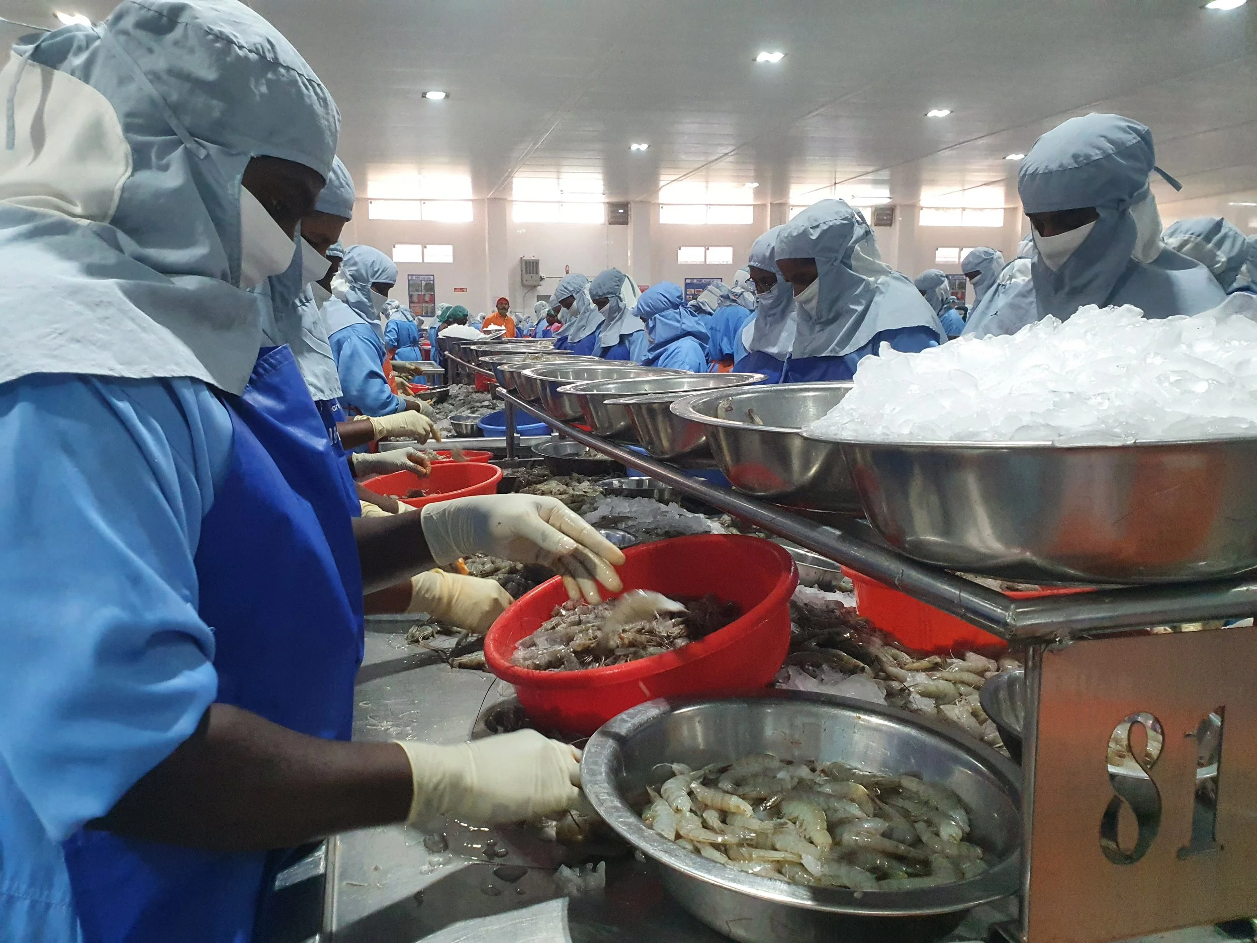 IV.C. Workers in a large processing plant (Andhra Pradesh, 2022).2 (2).jpg