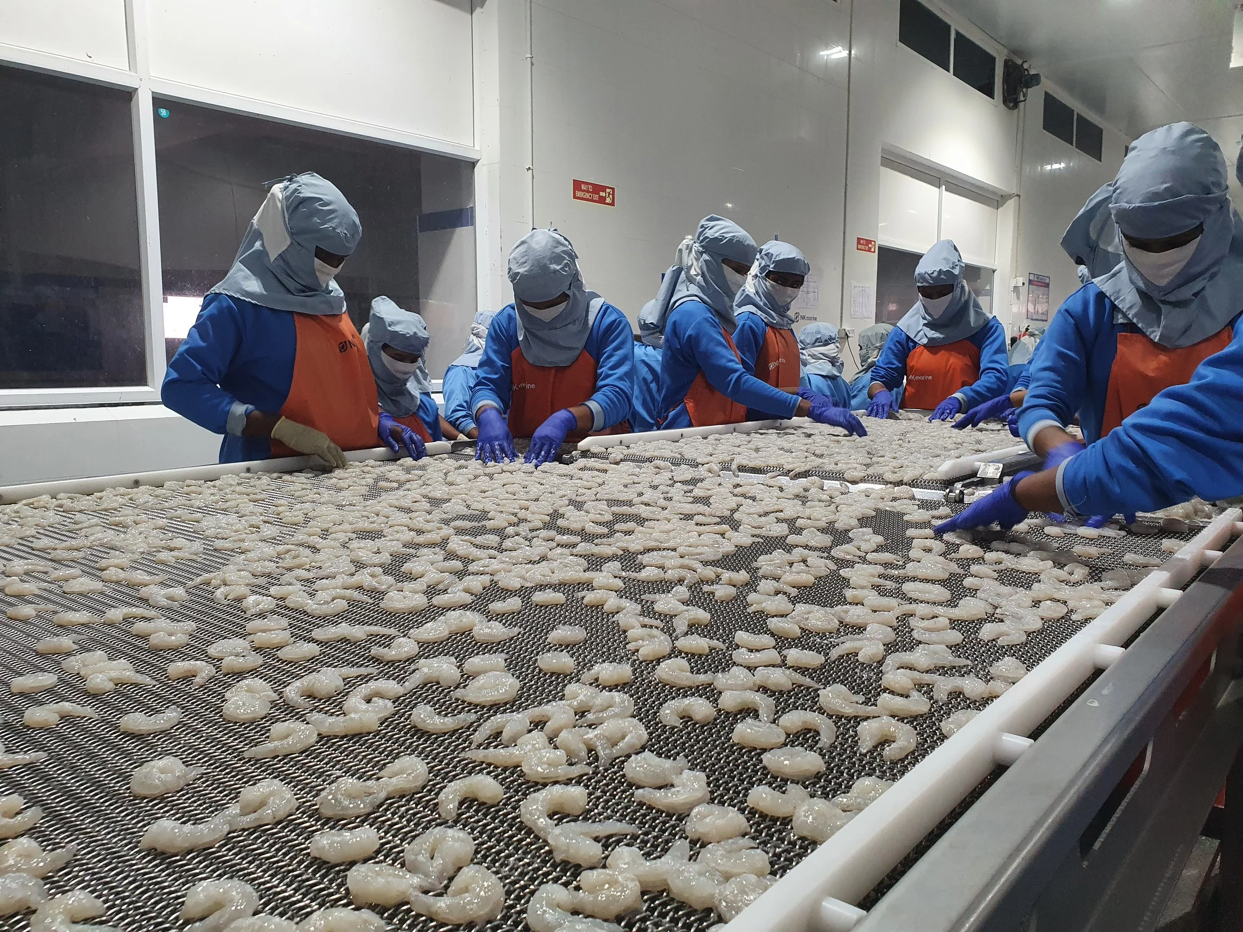 Section 337 Case at the International Trade Commission Seeks to End Forced Labor in Indian Shrimp Supply Chain
