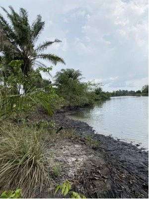 Thirty Years Later: The Resilience of the Ogoni — Corporate ...