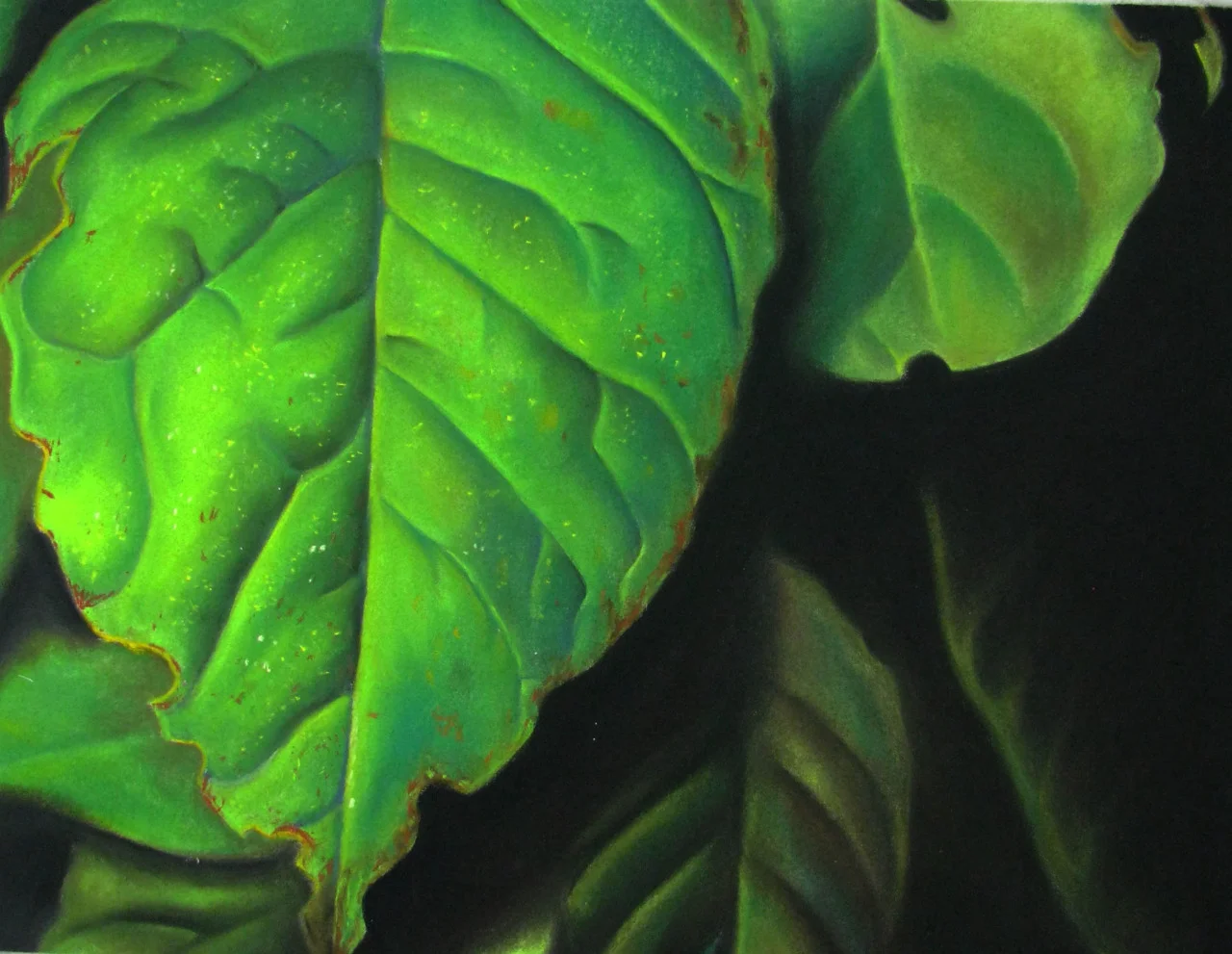 Leaves 2011. Chalk pastel on paper. 19 x 25. 