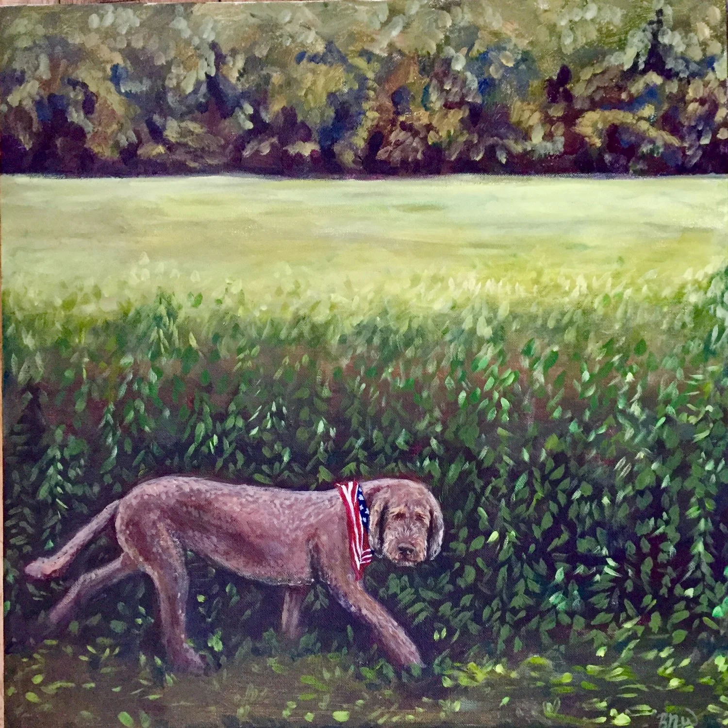 Coco Bean 2017. Acrylic on canvas. 20 x 20.