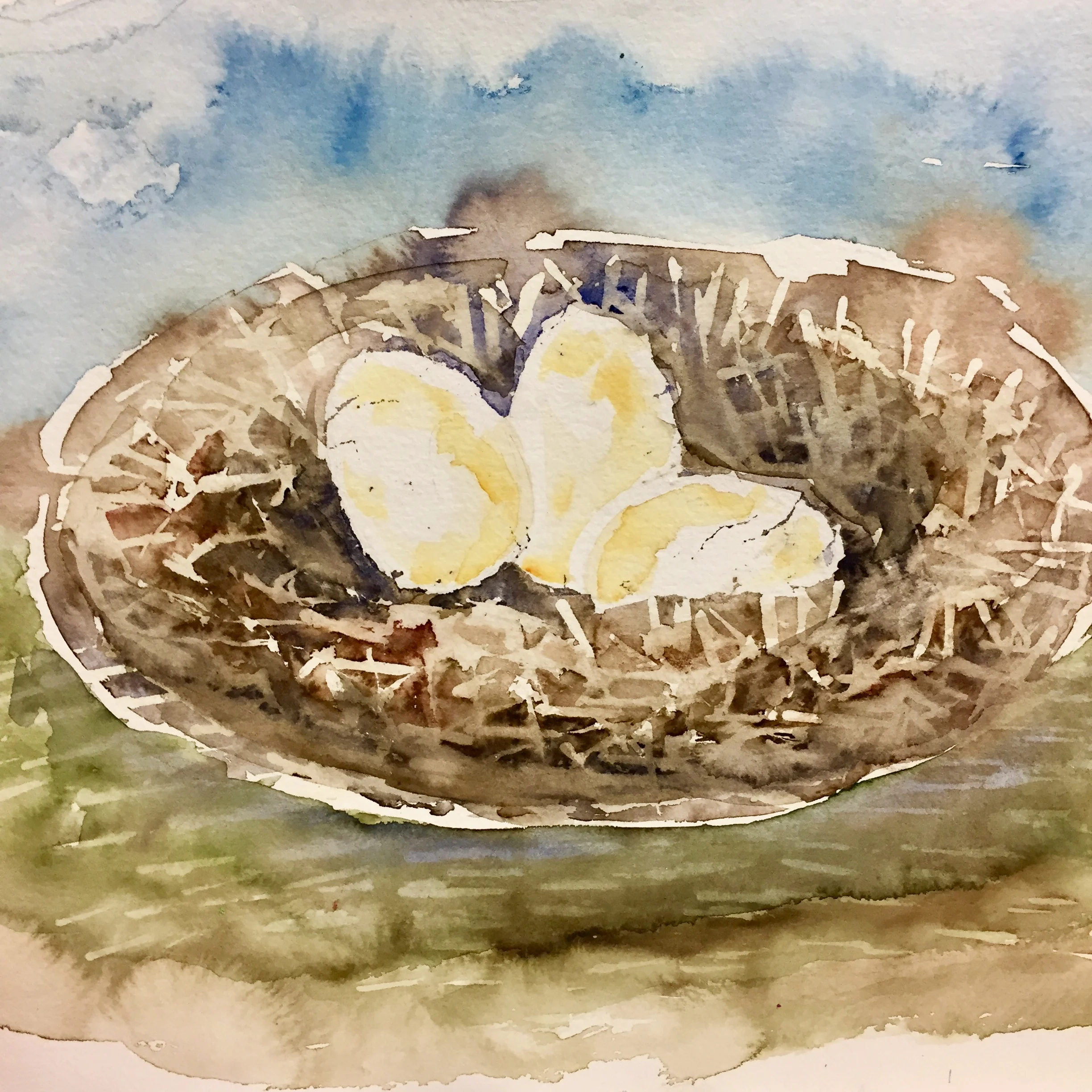 Nature and Nurture 2017. Watercolor on paper. 