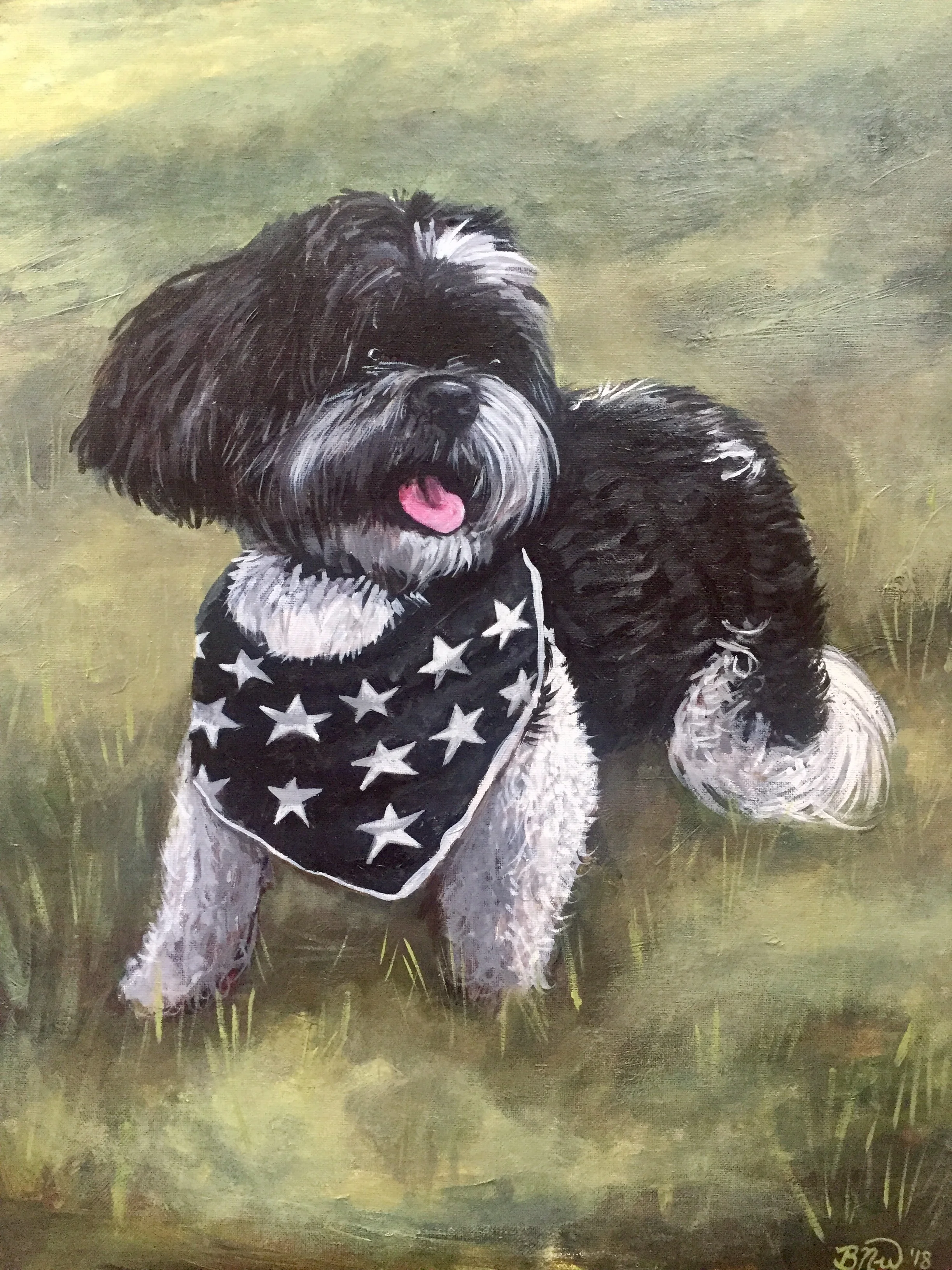 Star-Spangled 2018. Acrylic on Canvas. 20 x 30.