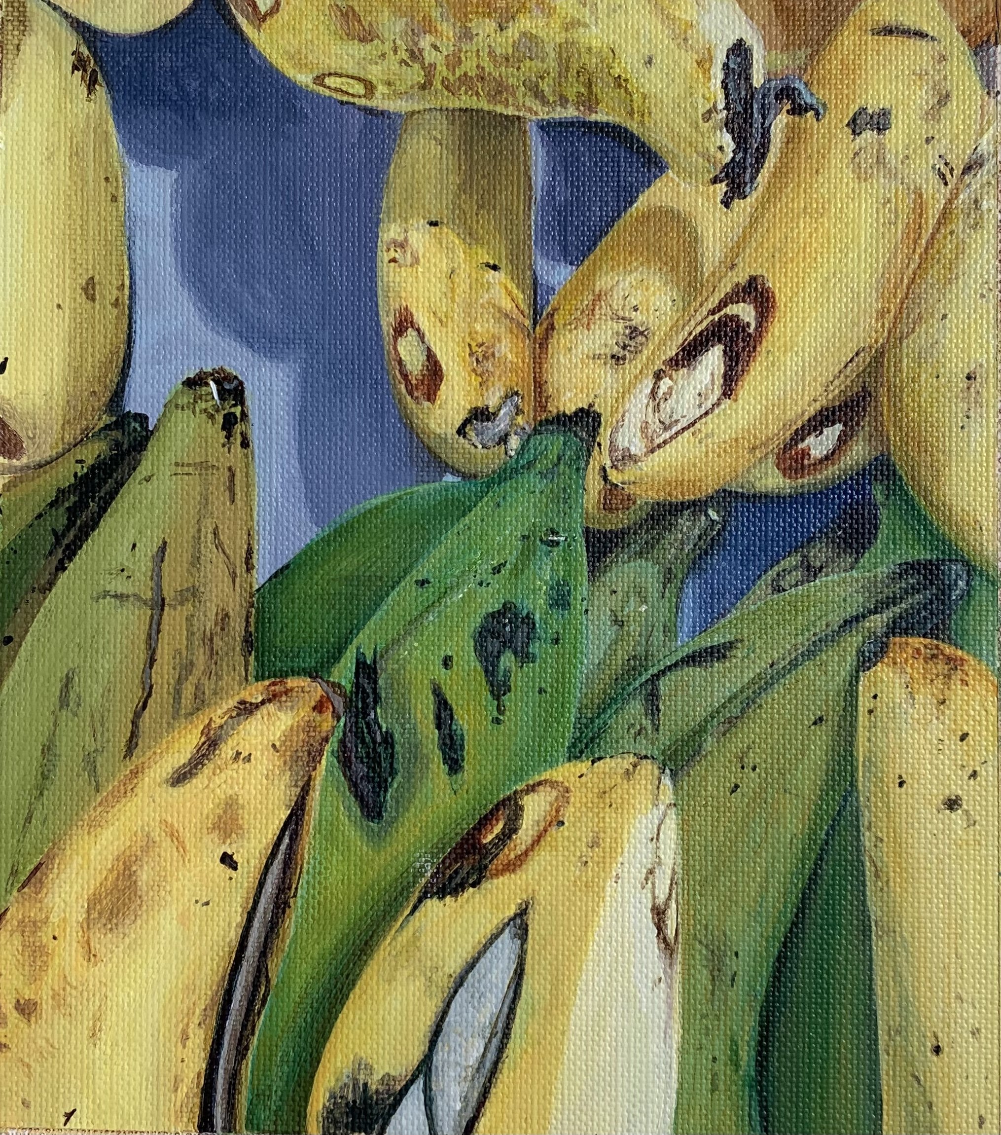 Bananas Study (2022)