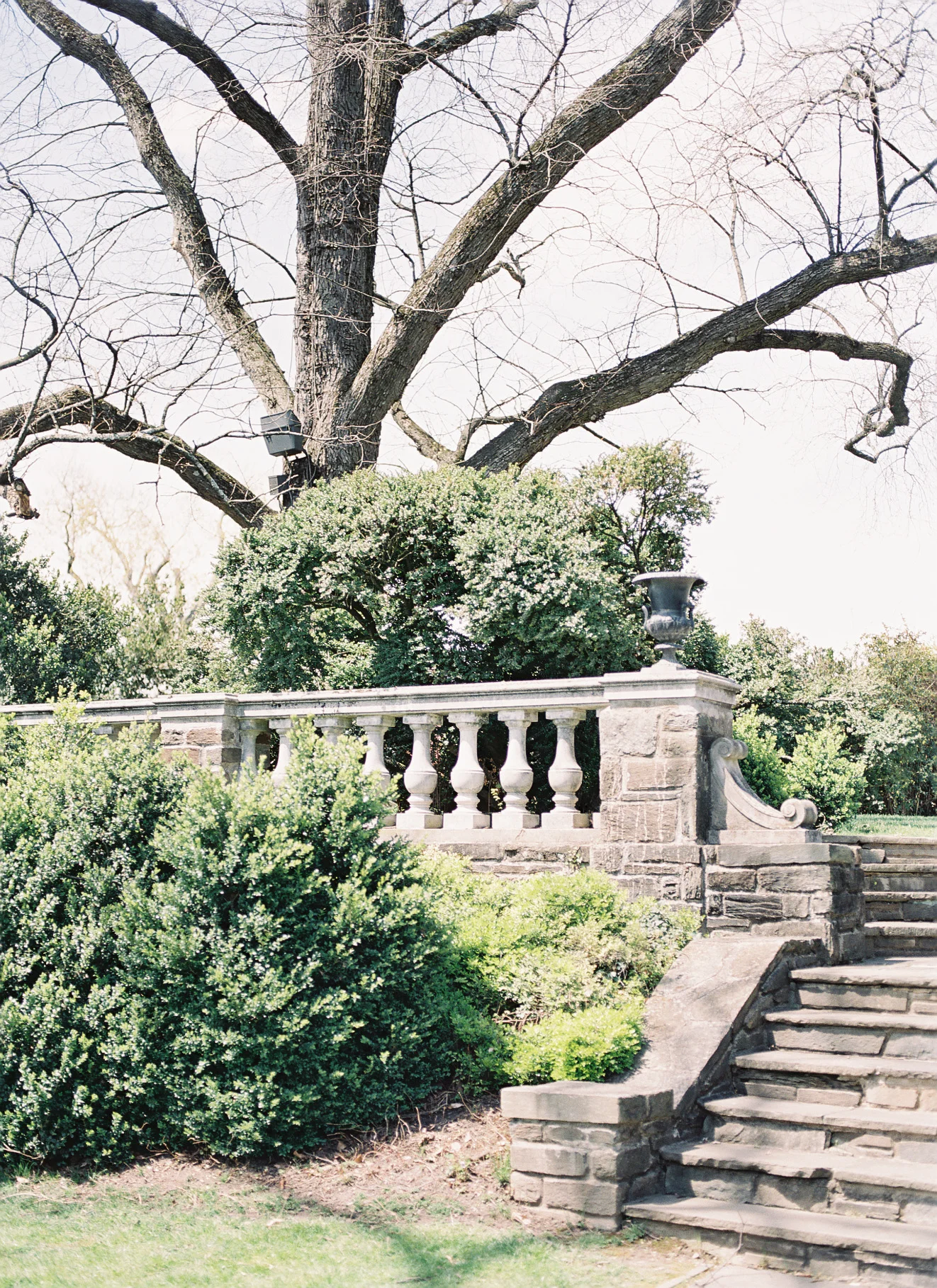 003965-R2-002 2.jpg