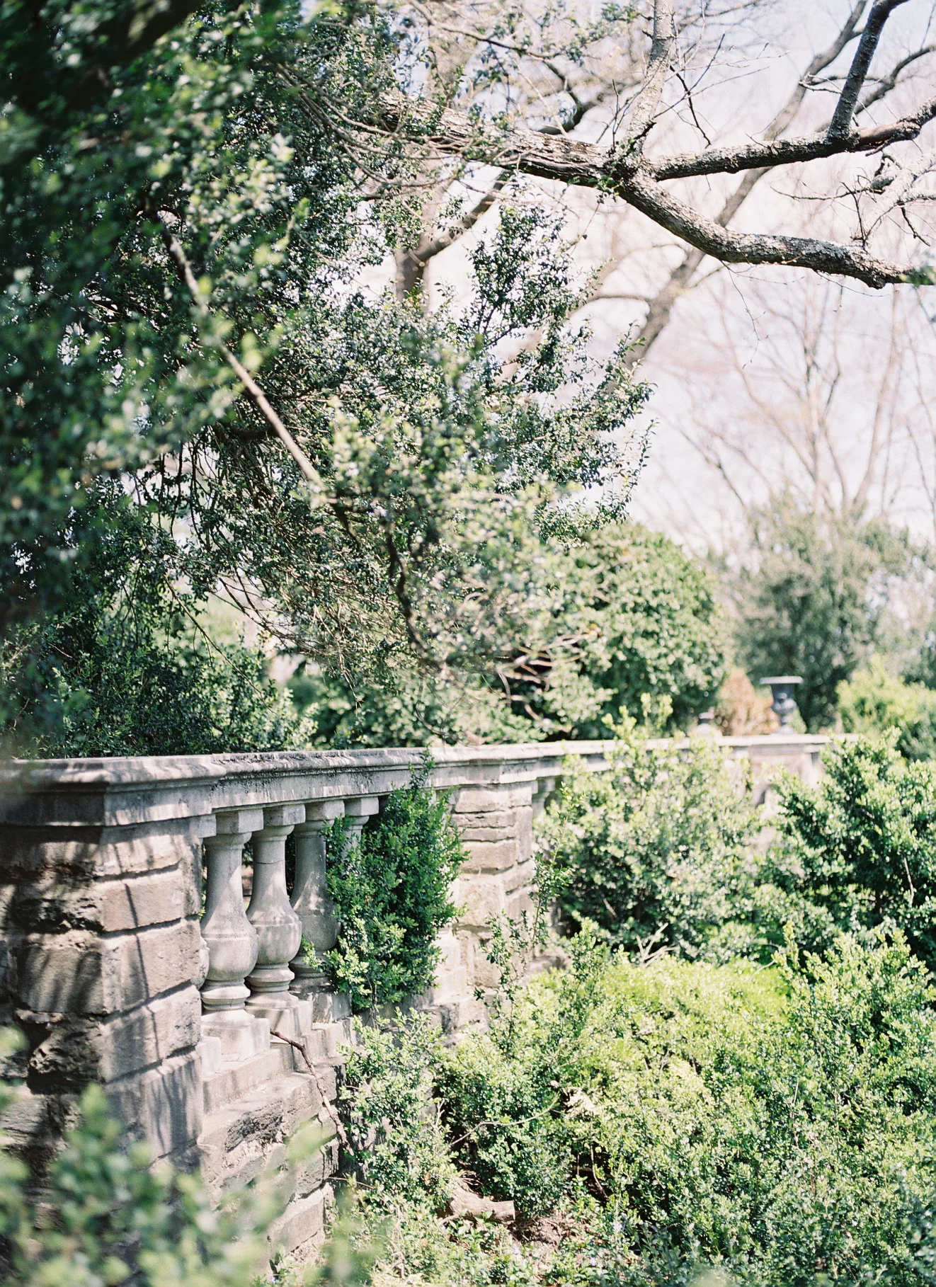 003965-R2-006 2.jpg