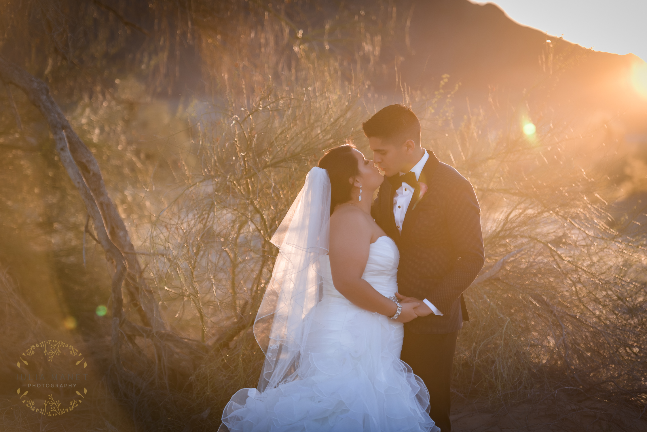 DSC_2233-Edit.jpg