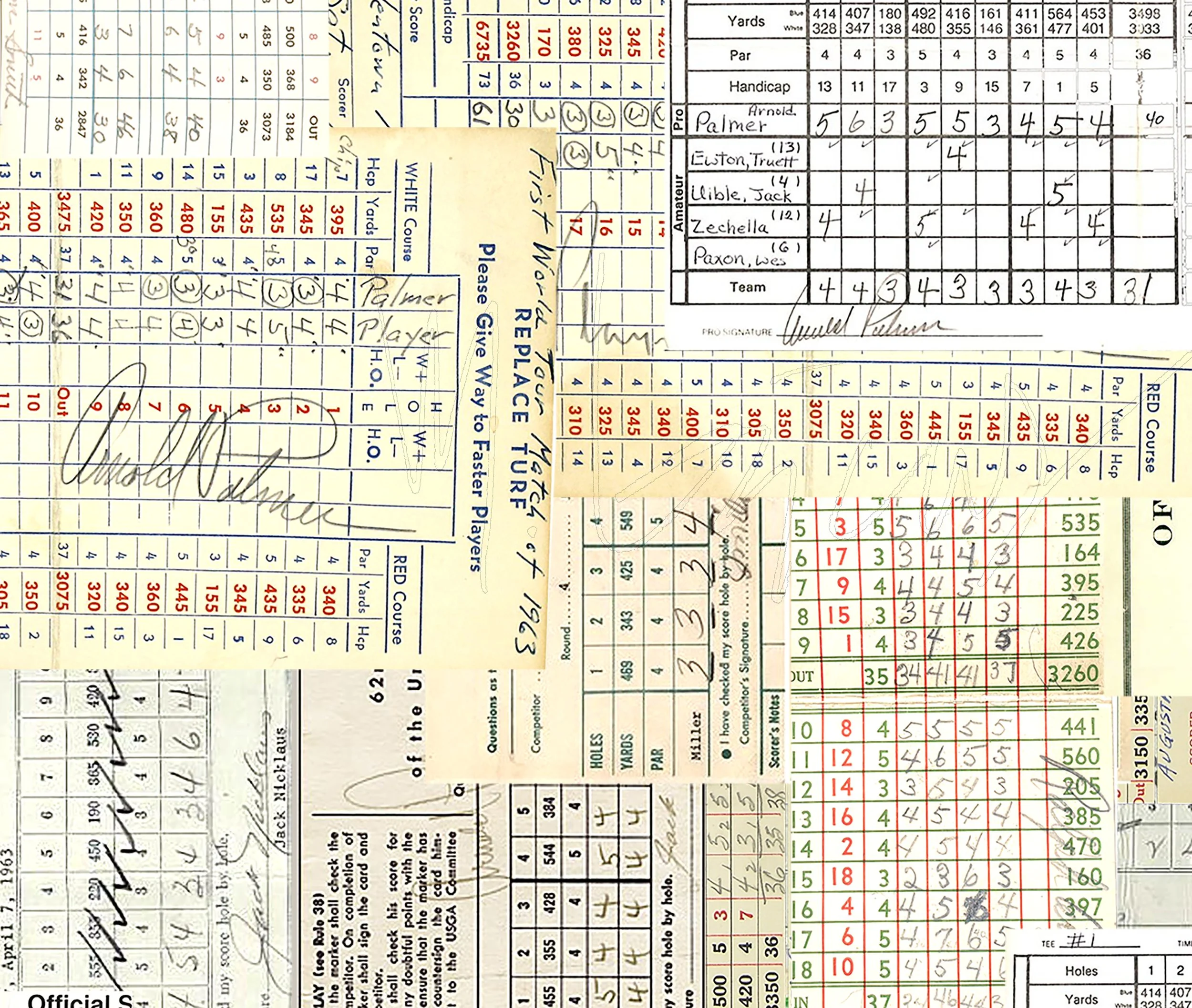 PALMER BACKGROUND DETAIL.jpg