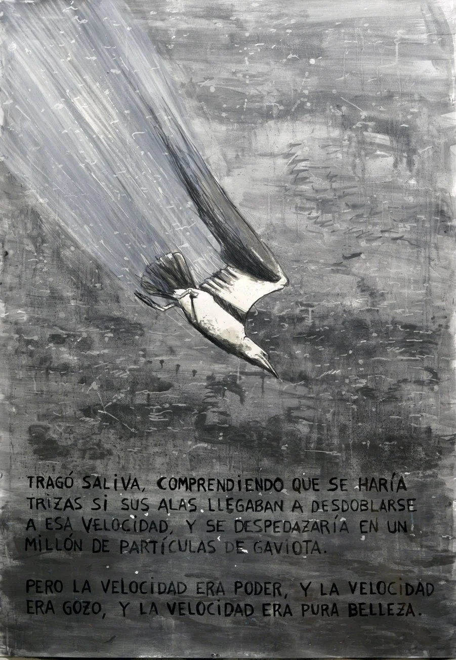 Juan Salvador Gaviota