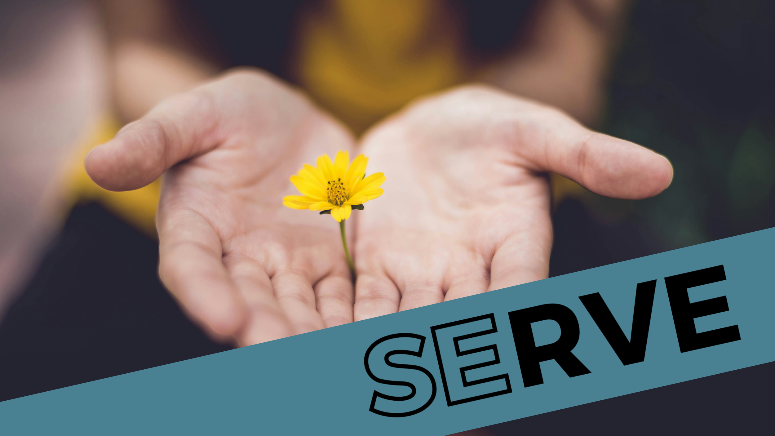 2026_Serve.png