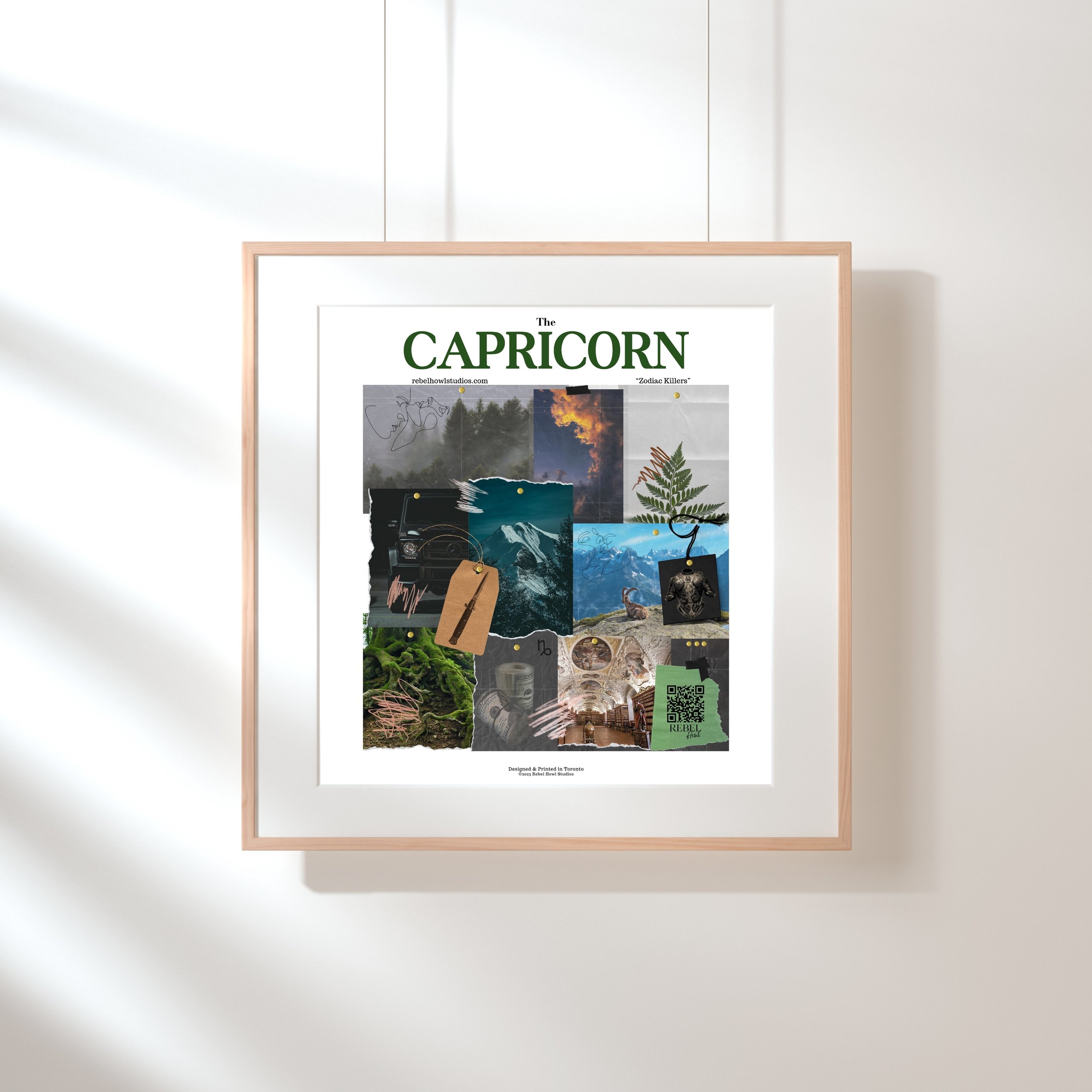 010 Capricorn.jpg