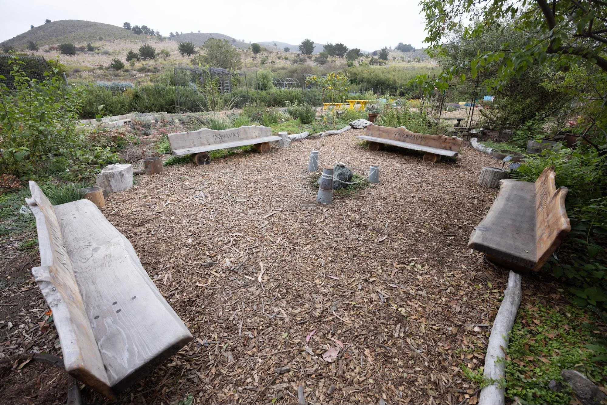 A serene ceremonial garden featuring handmade Redwood benches and native plants.