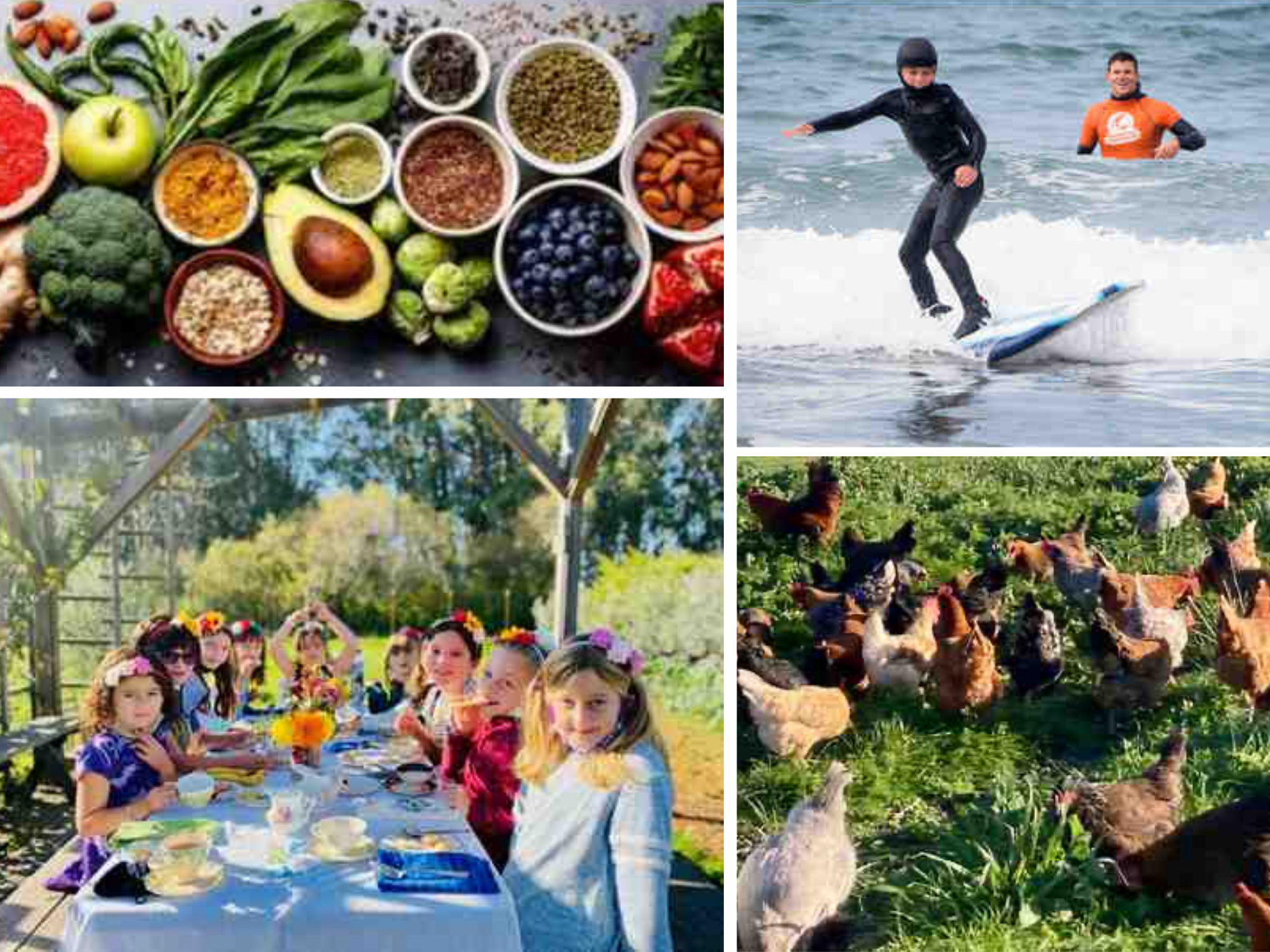 Spring Ahead online auction experiences I - plant-based dinner, surf lesson,.png