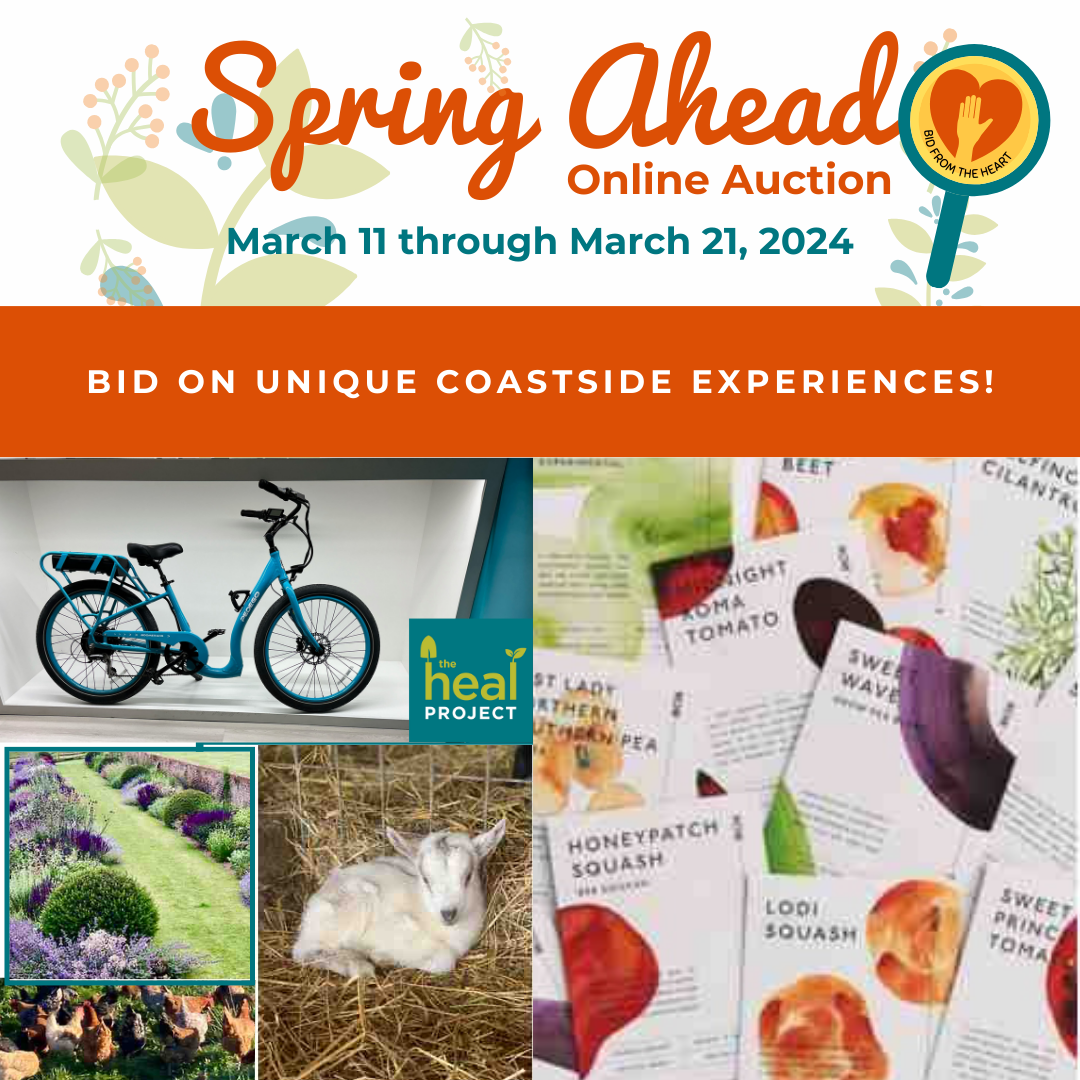 Spring Ahead online auction with Pedego and other items coastside experiences.png