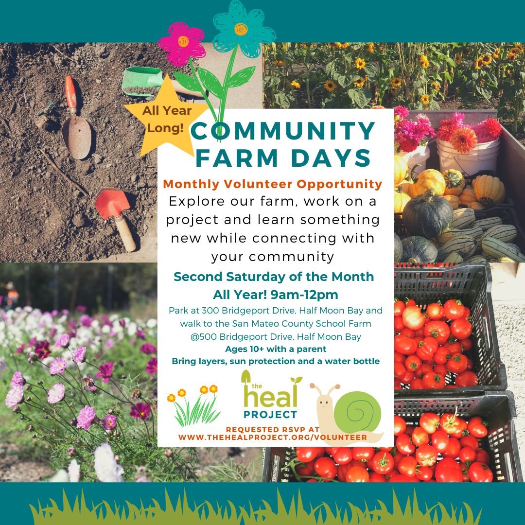 What are you up to at the weekend? How about coming out on Saturday, May 11: it's Community Farm Day at The HEAL Project farm in El Granada -- and Mothers Day.

Come join us and meet your neighbors on our beautiful farm from 9am to 12noon -- every se