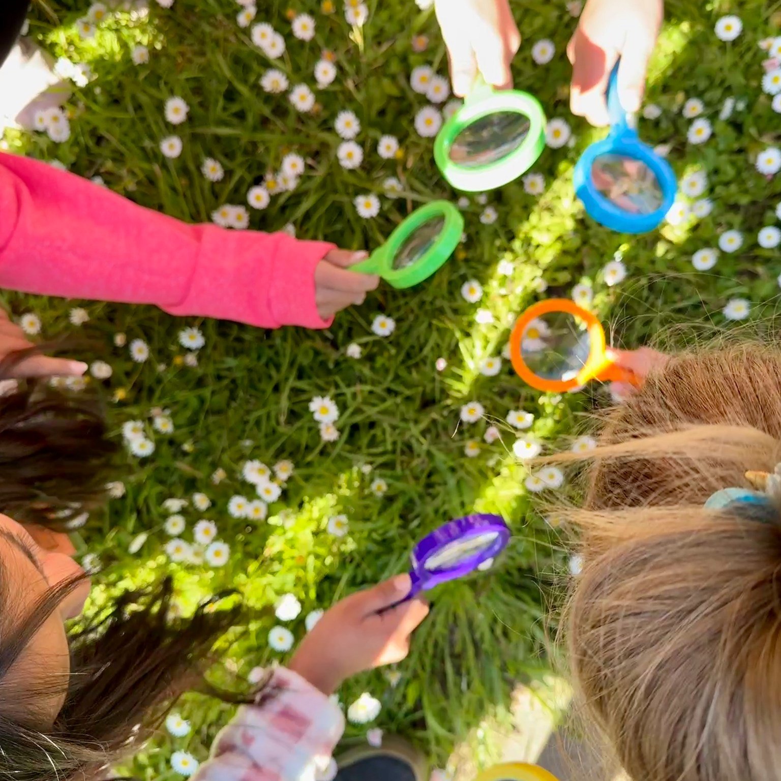 In their outdoor classroom, students at The HEAL Project find a flowering plant and use a magnifying glass to view the pollen and get a closer look at all the plant parts. They observe the flowers closely, noting characteristics that may attract poll