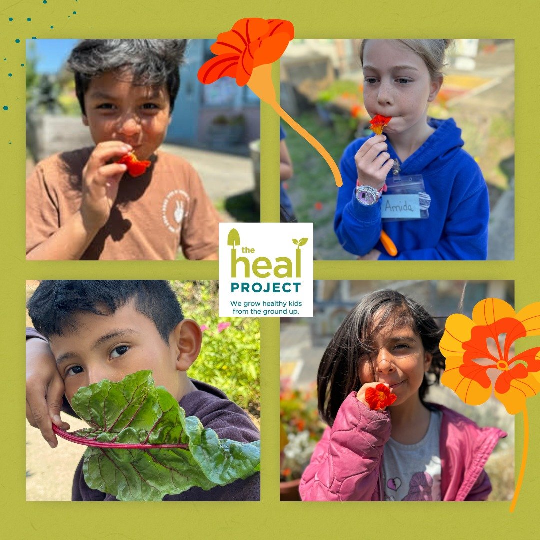 Part of the fun for students at The HEAL Project is trying new things, like sipping on nasturtium flowers to taste their nectar, or munching on greens grown in the garden.  The outdoor classroom is delicious and fun.

 #thehealprojectusa #outdoorclas