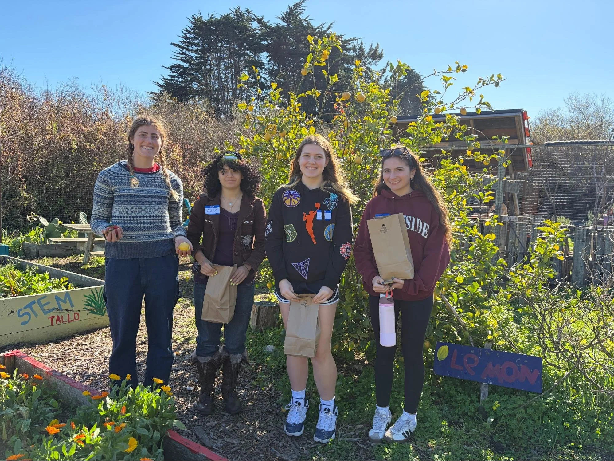 Listening to Students: How Young Voices Are Shaping the Future of Our Garden Programs