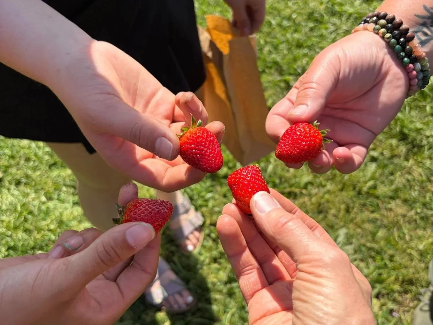 What our students taught us about wellness