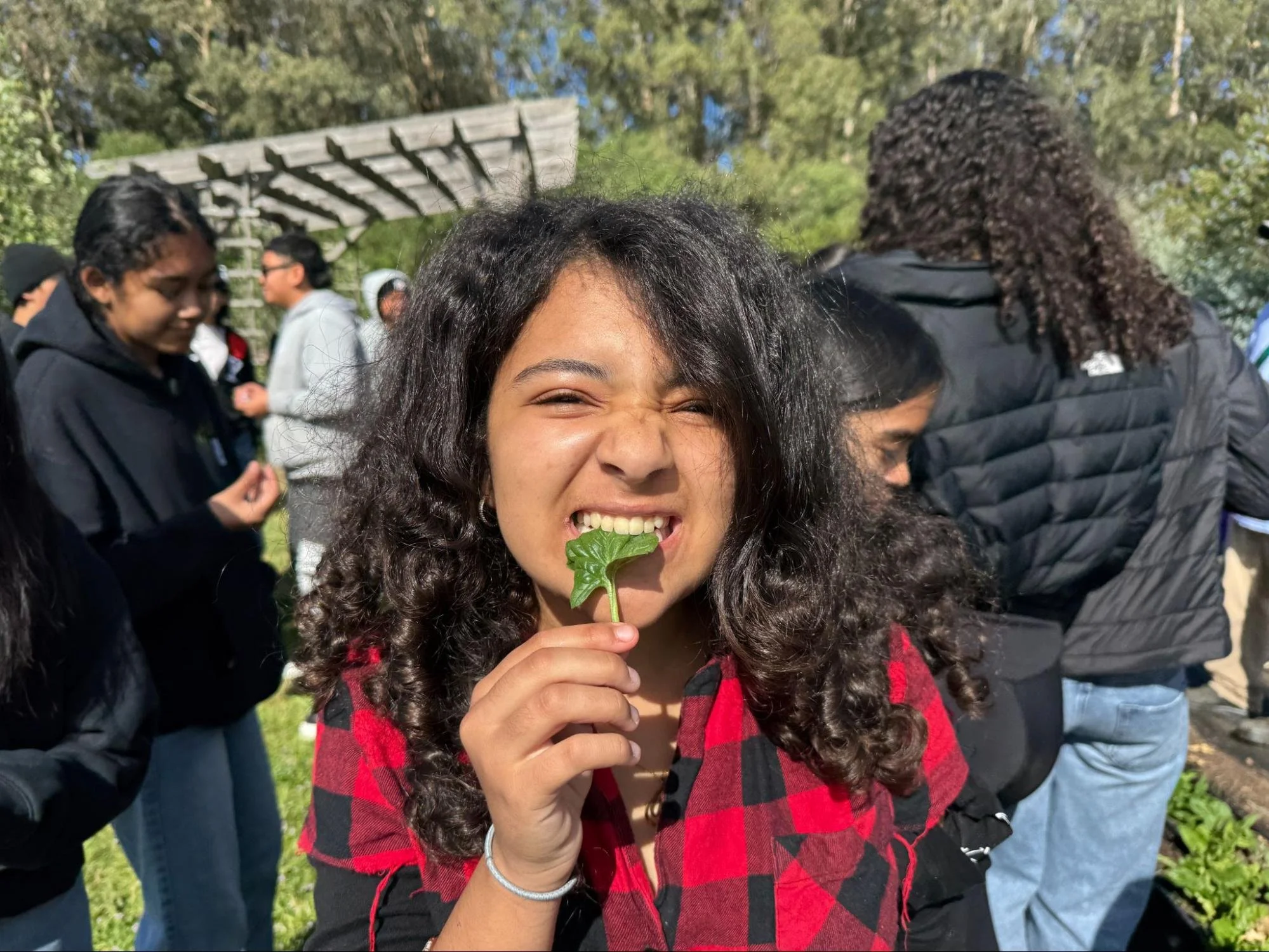 From Seeds to Simmer: Bringing Food Systems to Life