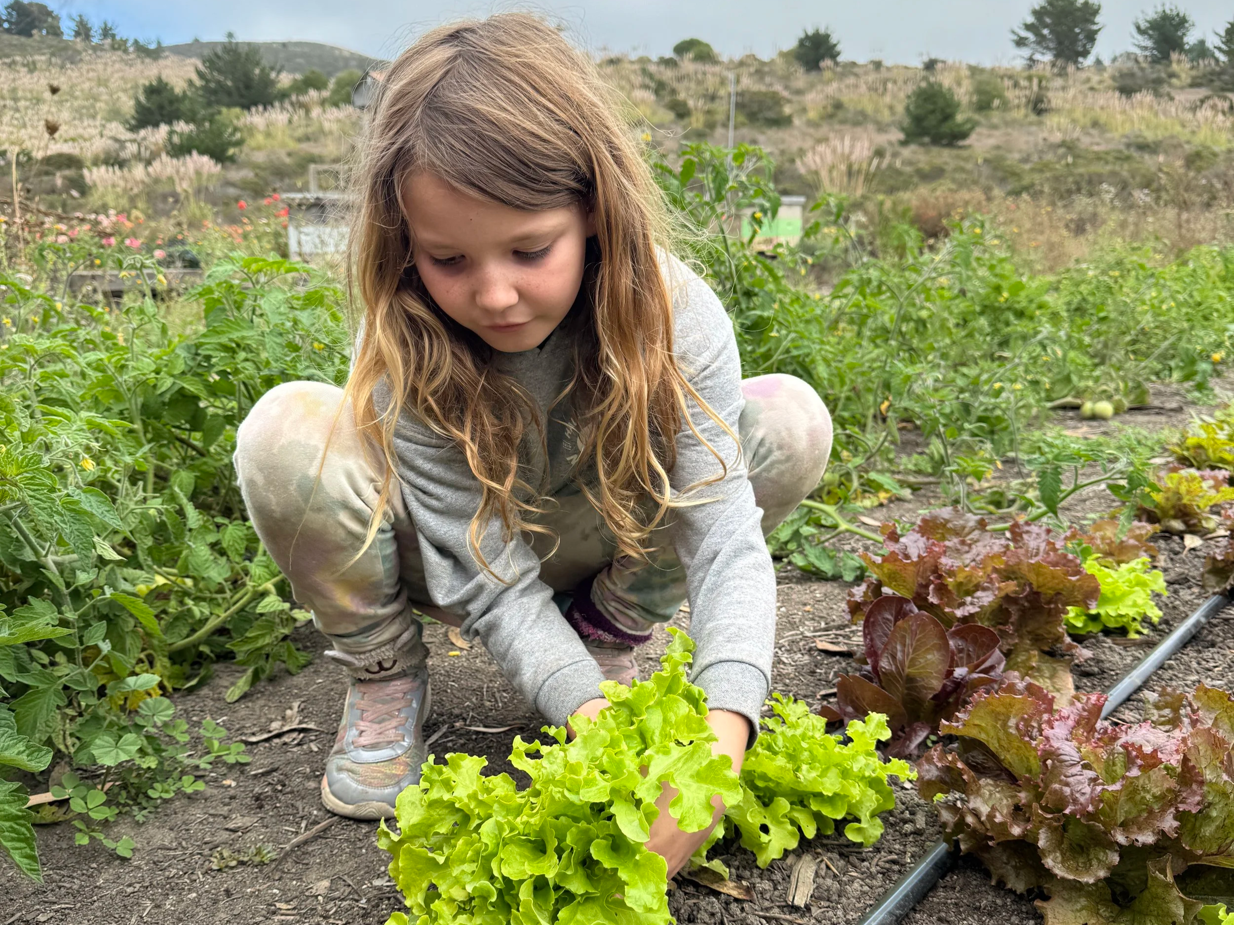 A philosophy of growth, sustainability, and resilience