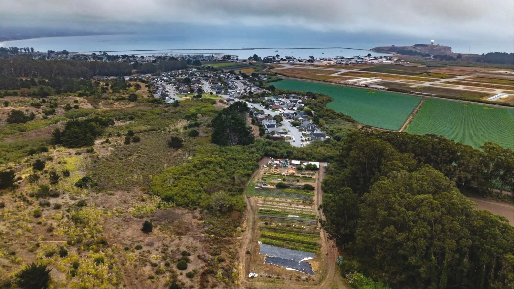 An aerial view of The HEAL Project farm with the Pacific Ocean in the distance.