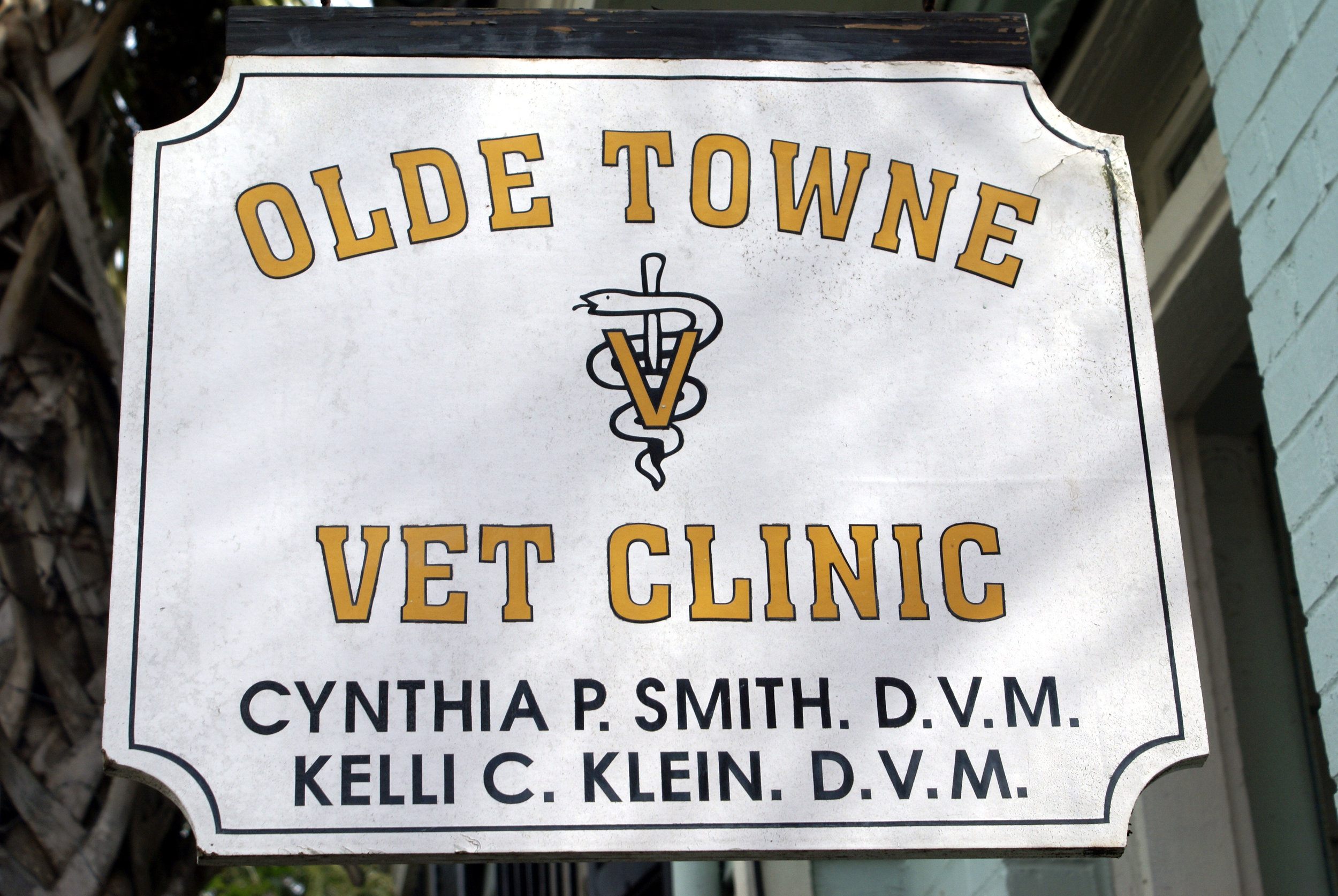 Olde Towne Vet Clinic | Downtown Charleston, SC