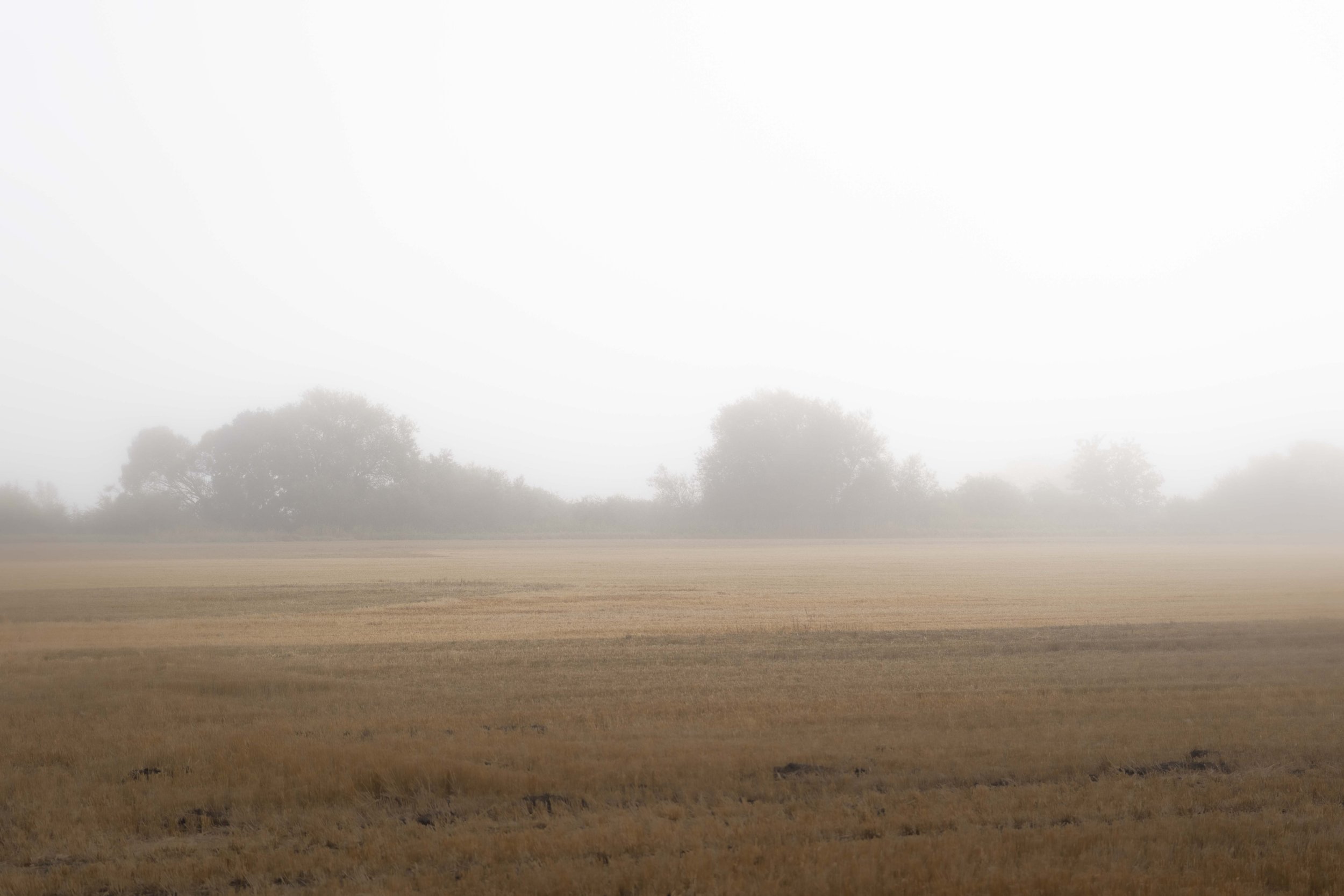 Scapes_Web-11.jpg