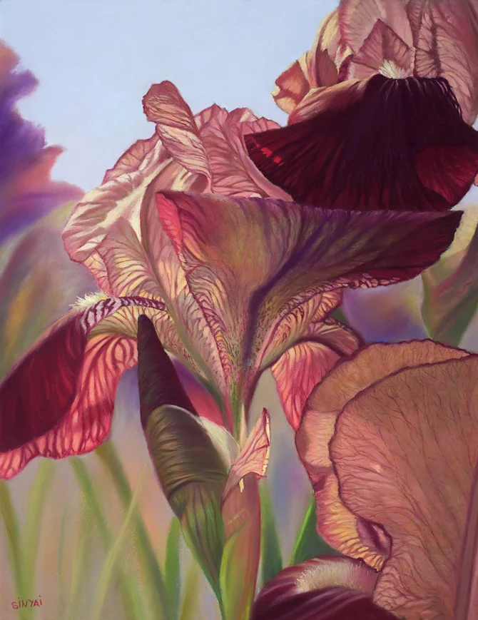 "Luminous" - Susan Meyer Sinyai