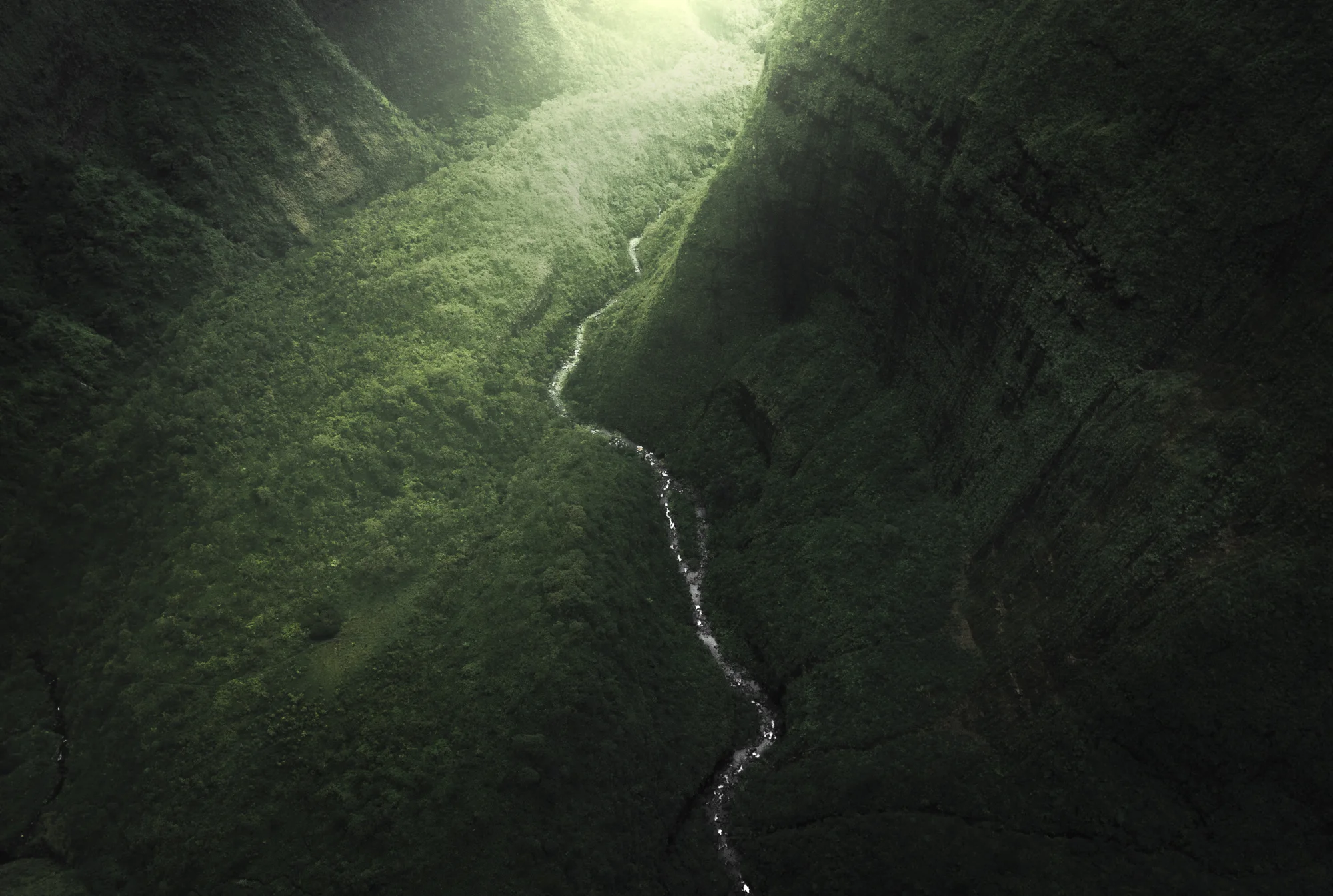 Kauai-3.jpg