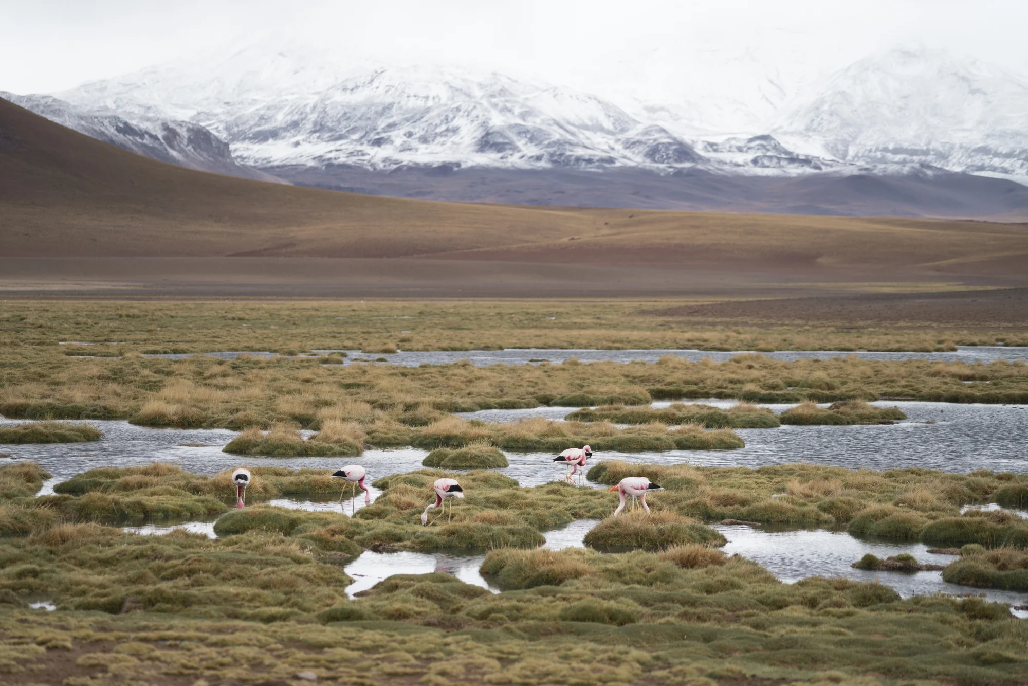 Chile-8.jpg