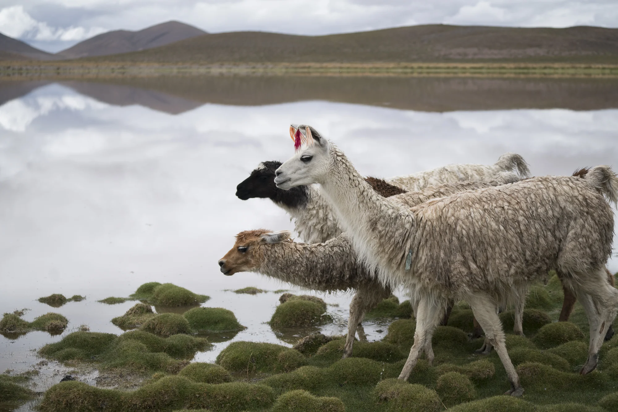Chile-26.jpg