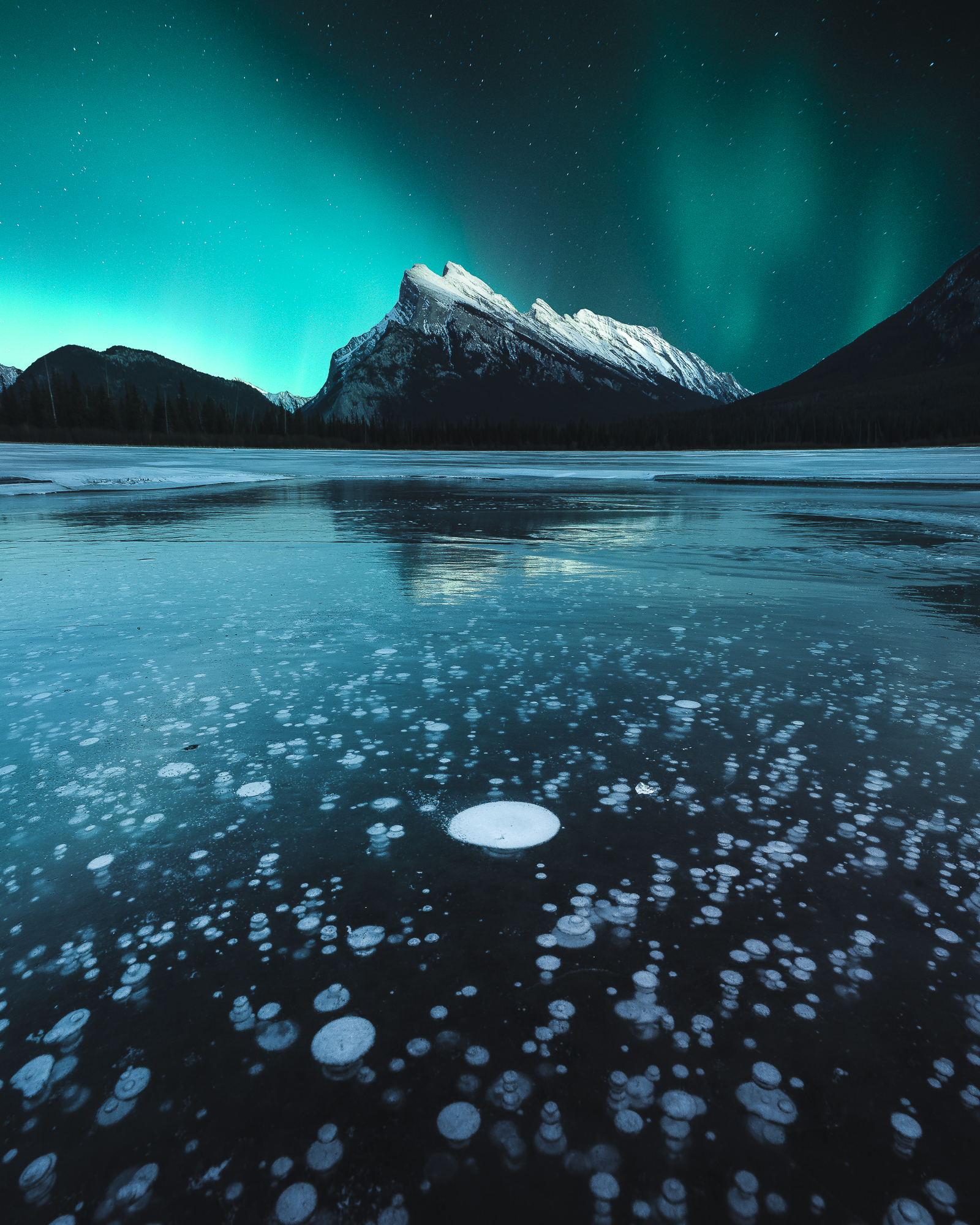 banff+-web.jpg