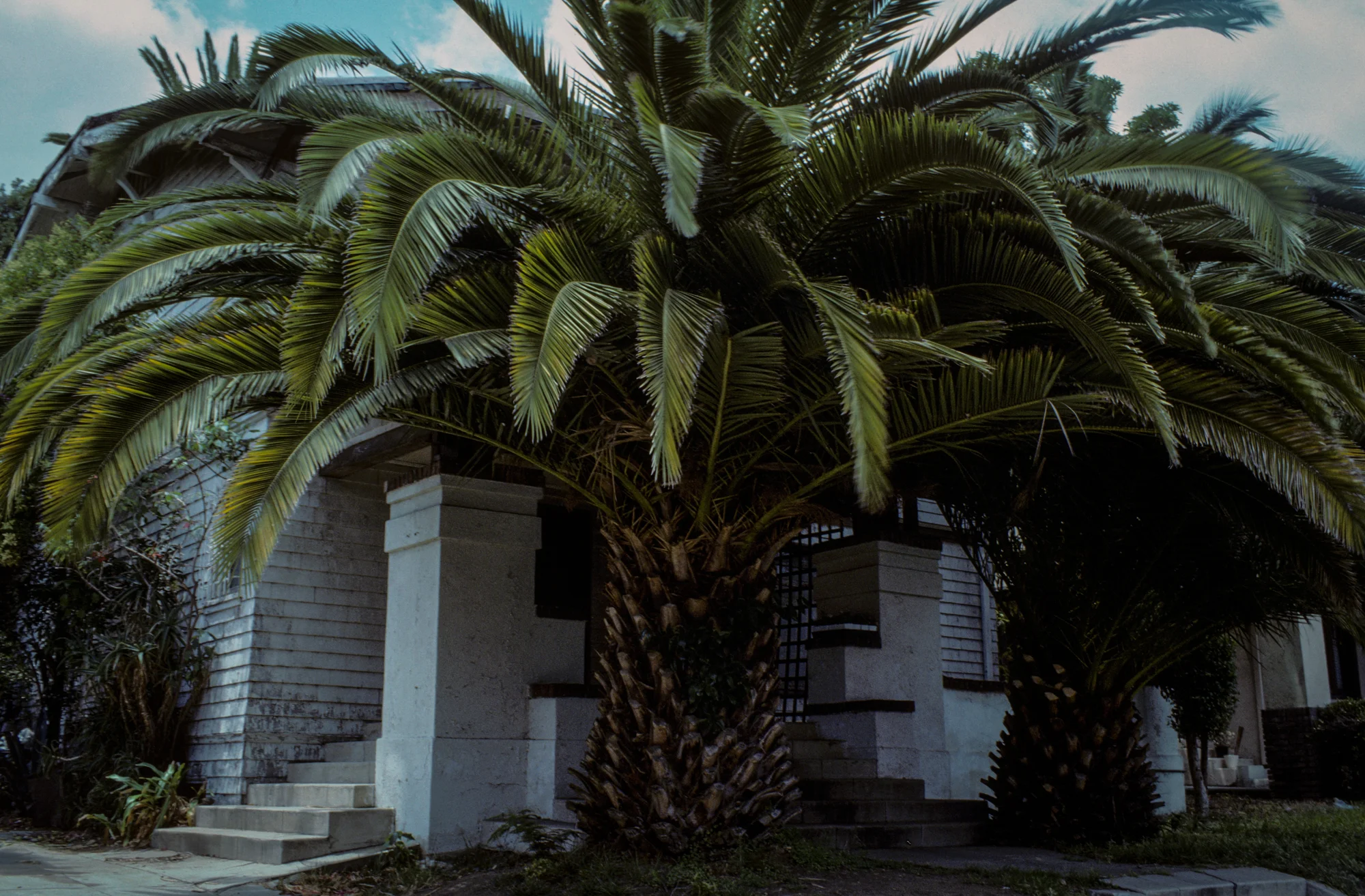 MHPortfolio_Image-17.jpg