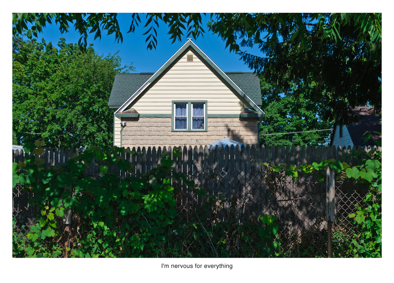NervousForEverything+(Syracuse,+NY)+2012.jpg