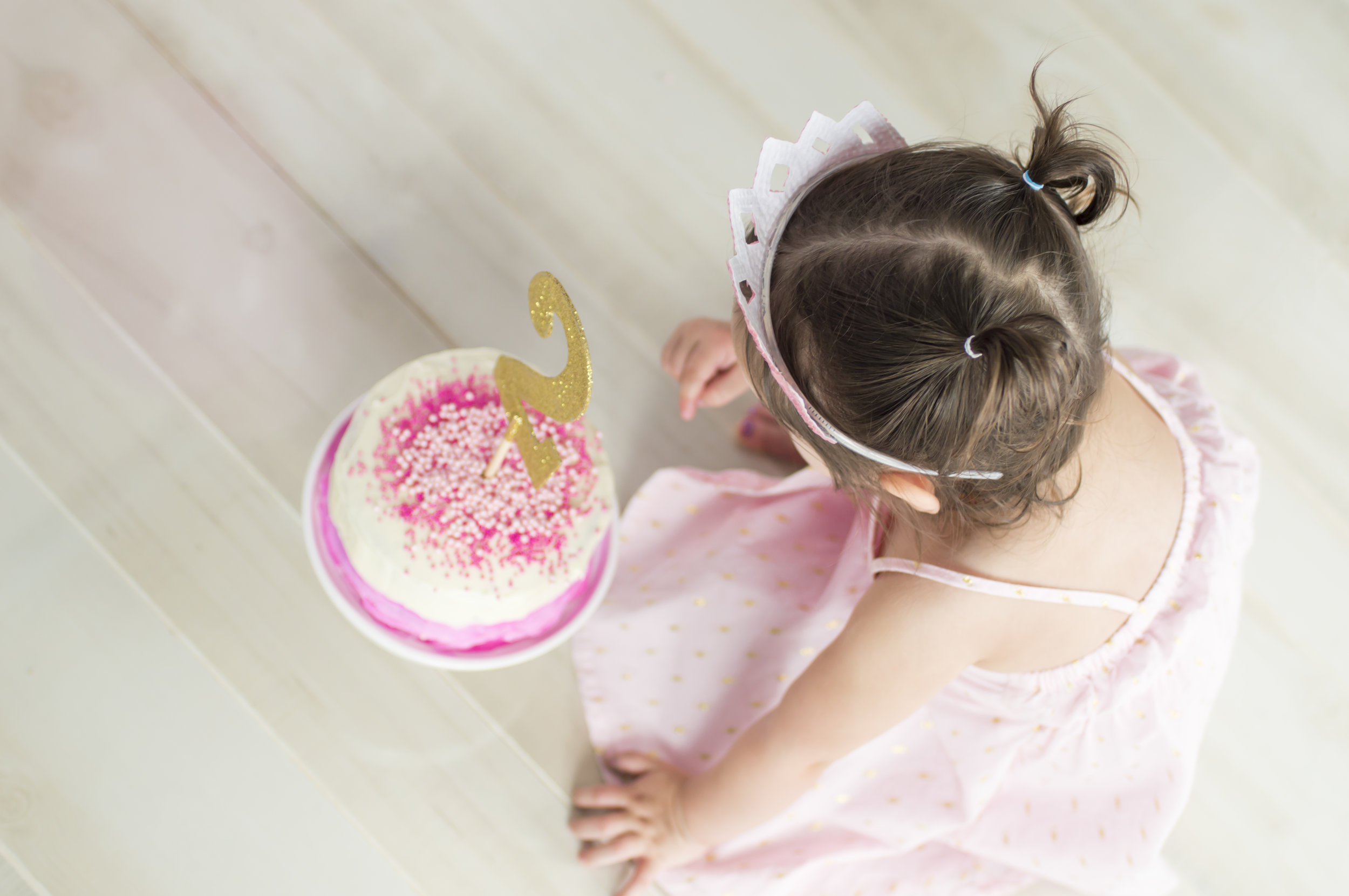 Little Girl Cake Smash Photo