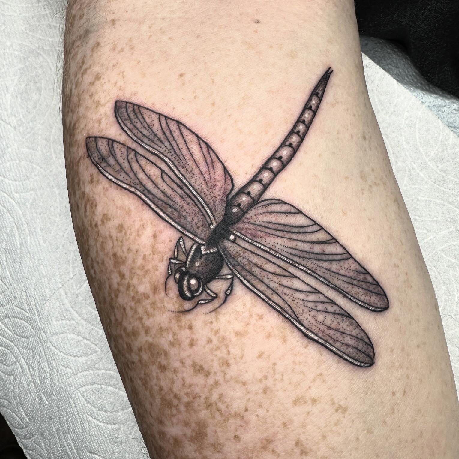 Dragonfly by Mike @tattoosbymikec !!
He has time to tattoo you today, come see us! 

&bull;
&bull;
&bull;
&bull;
&bull;
&bull;
#tenthousandwavestattoo #shermanoakstattoo #losangelestattoo #tattoo