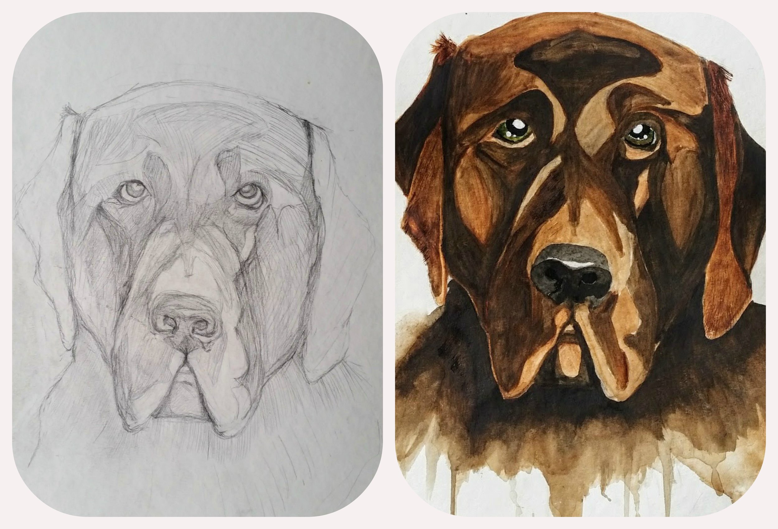 PET PORTRATE EXAMPLES1.jpg