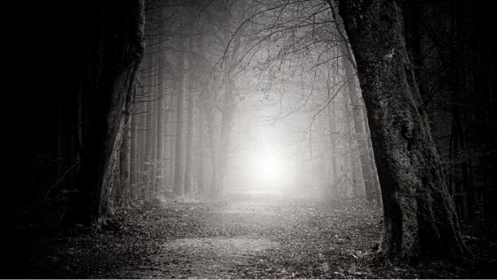 The Fairytales We Never Heard: A poem by Dominique Jones