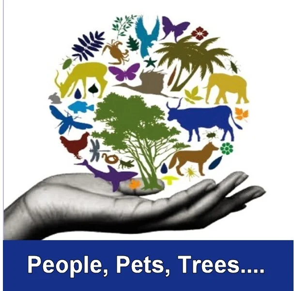All Life Forms Memorial Service is October 27, 2019