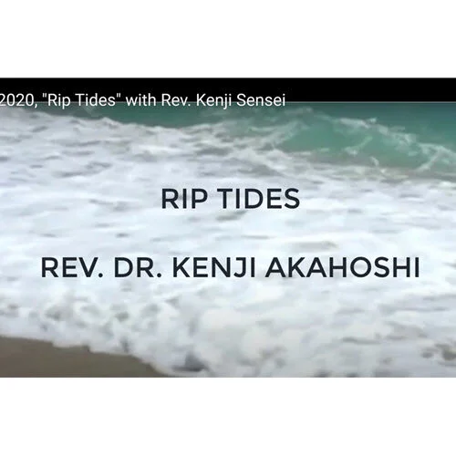 Kenji Sensei on Navigating Rip Tides