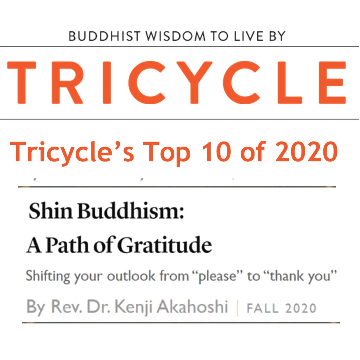 One of Ten Best!  Kenji Sensei's Article in "Tricycle" Magazine