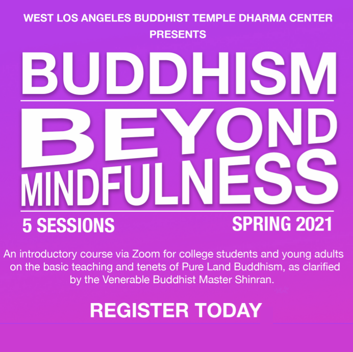 Register Now: Beyond Mindfulness Course for College Students and Young Adults