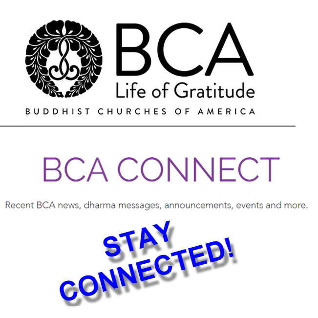 Stay Connected with a Single Click for October 